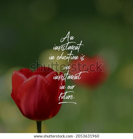 motivational and emotional quotes on blur nature background