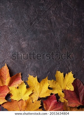 Bright orange autumn maple leaves on a dark concrete background. Top view and copy space. 
