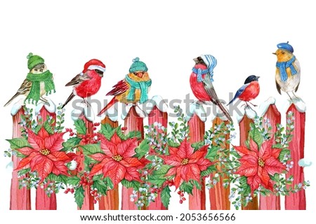 Winter birds on the fence .Christmas card watercolor illustration on isolated white background