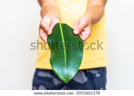 Green Energy.Renewable and Sustainable Resources.Environmental, social and corporate governance.Environmental and Ecology Care Concept.Boy Hand Holding Green Leaf on Chest.Copy space.