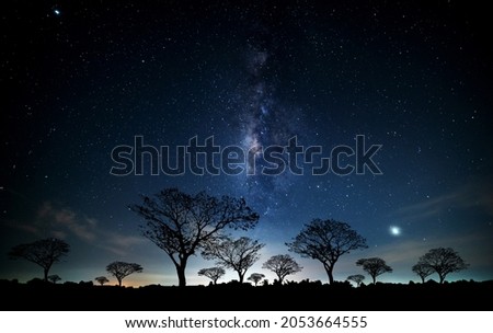 Vertical Milky way with stars,silhouette tree in africa.Tree silhouetted against a setting sun.Dark tree on open field dramatic blue night.Typical african night with acacia trees in Masai Mara,Kenya. Royalty-Free Stock Photo #2053664555