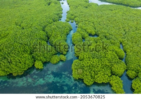 Anavilhanas archipelago, flooded amazonia forest in Negro River, Amazonas, Brazil. Aerial drone view Royalty-Free Stock Photo #2053670825