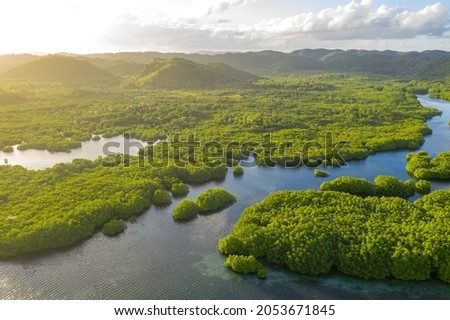 Anavilhanas archipelago, flooded amazonia forest in Negro River, Amazonas, Brazil. Aerial drone view Royalty-Free Stock Photo #2053671845