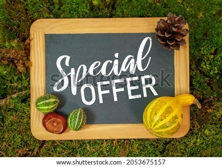 Chalkboard with pumpkins and chestnut and special offer on moss background