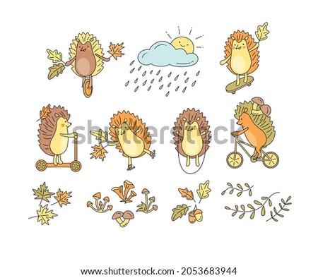 Set of clip arts with hedgehogs on rollers, skateboard, bicycle, scooter, mono wheel, with skipping rope and maple, oak leaves, acorns, mushrooms, cloud. Doodling vector color outline illustration. 