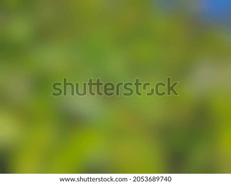 green background image, blur effect