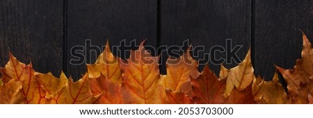 Autumn leaves on rustic wooden table banner. Flat lay, top view, copy space. Autumn concept.