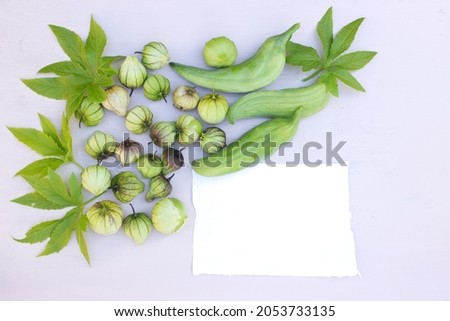Autumn composition. Frame made of Cyclanthera pedata, known as  achocha and tomatillo Physalis philadelphica, also known as the Mexican husk tomato and price tag on white table background. Flat lay.