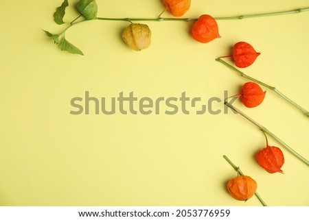 Physalis branches with colorful sepals on yellow background, flat lay. Space for text