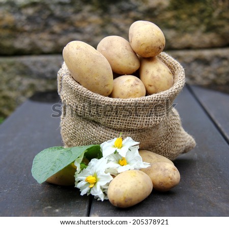 potatoes in the bag 