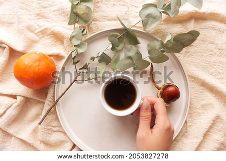 Cosy autumn morning breakfast in bed still life scene. A steaming cup of hot coffee,   pumpkin and twig of chestnut and eucalyptus. Fall, Thanksgiving concept.Top view.