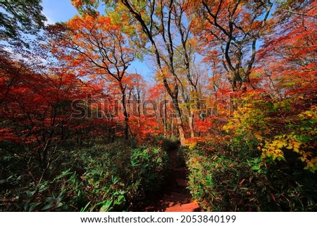 It is a beautiful autumn landscape of Hallasan Mountain in Jeju Island.