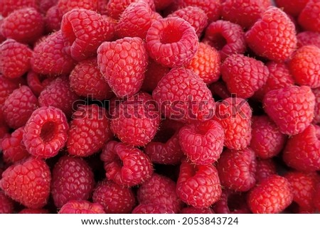 Raspberries isolated on white background. Best collection. Professional studio photography