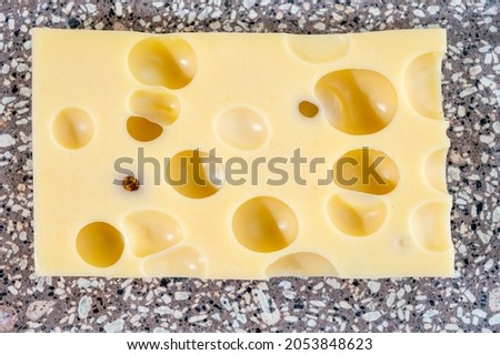 Cheese collection, semi-hard French cheese emmentaler with round holes made from cow milk close up Royalty-Free Stock Photo #2053848623