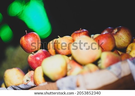 picture of a Ripe Apples in Orchard ready for harvesting,Night shot