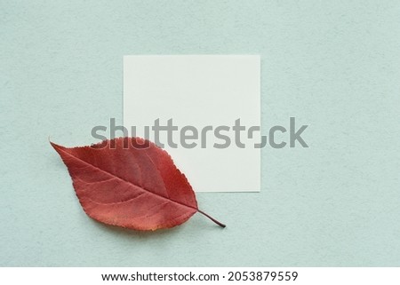 A white square sheet of paper with dry red leaves on a light background. Template for text.