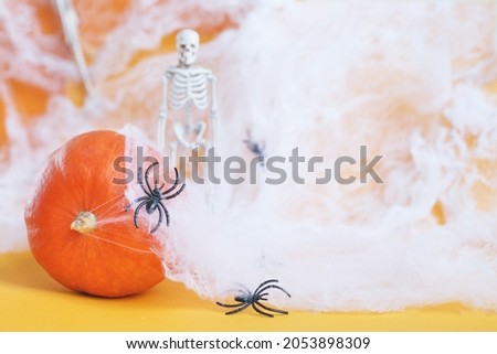 Halloween pumpkin with spider web, skeleton and black spiders on an orange background.