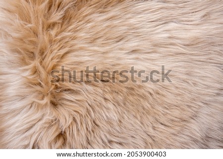 Fur texture top view. Brown fur background. Fur pattern. Texture of brown shaggy fur. Wool texture. Flaffy sheepskin close up
 Royalty-Free Stock Photo #2053900403