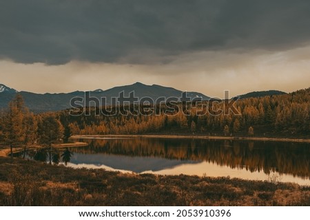 Mirror surface of the lake in larch forest. Reflections of trees. Fall season. Scenic view