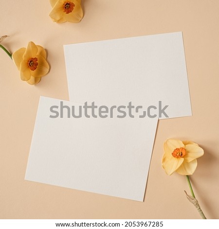 Blank paper sheet card with mockup copy space and narcissus flowers on neutral dusty peachy background. Minimal aesthetic business brand template. Flat lay, top view