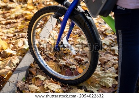 bicycle wheel on the background of yellow leaves in autumn on the road
