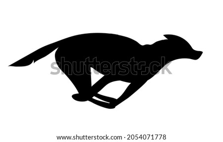 Vector illustration with silhouette of running sled dog, winter sport with black husky on white background