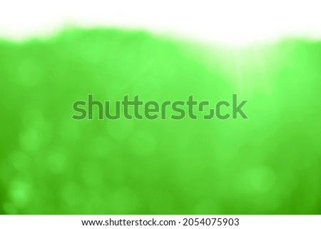 Beautiful bokeh of light shining through the tree. green grass and trees. sun rays. blurred unfocused image. summer or spring season. Springtime