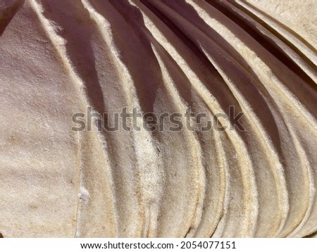 Close up blurred curved stone with texture is made for interior architecture. Wave stone for building wall.