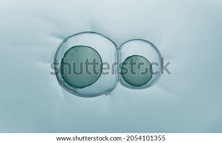 Macro close up of soap bubbles look like scientific image of embryo cells division process, Concept of cell divides into two cells Royalty-Free Stock Photo #2054101355