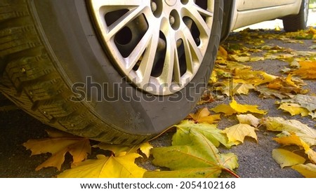 Car wheel on road. Close up. Yellow orange dry fallen maple leaves on earth. Golden autumn street. Driving. Automobile. Protection auto. Fall scene. City life. Traveling. Vehicle tire pressure check.