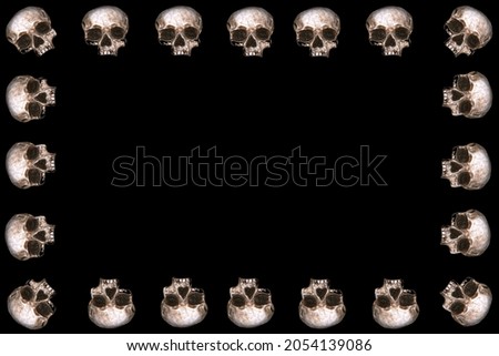 Human Skull Picture Frame. Human Skull Business Card. Halloween Human Skull. 