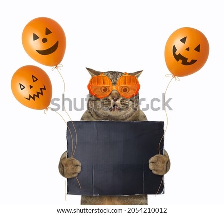 A beige cat in pumpkin shaped glasses holds a black blank poster and balloons for Halloween. White background. Isolated.
