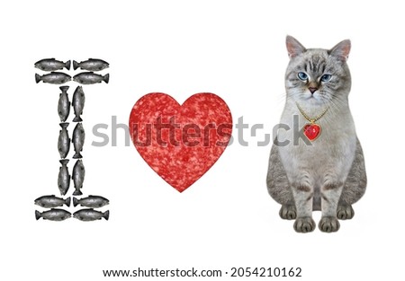 An ash cat stands near a heart shaped sausage and a fish letter I. White background. Isolated.