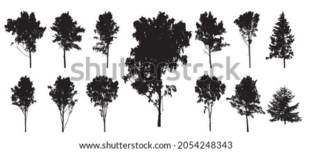 Beautiful forest trees. Set of silhouette of birch, fir trees. Vector illustration.