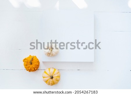 
Empty picture frame with autumn pumpkin decor on white wooden background. Thanksgiving minimal flat lay composition. Cozy clean home holiday design. Top view.