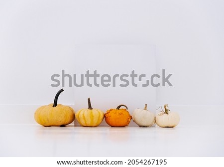 Empty picture frame with autumn pumpkin decor in white interior. Thanksgiving minimal flat lay composition. Cozy clean home holiday design background.