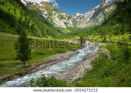 Valley in the Austrian alps in summer on a sunny day, Dorfertal Osttirol Austria Royalty-Free Stock Photo #2054275112