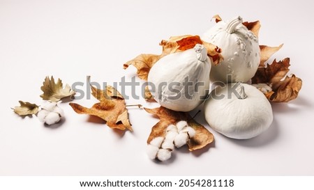 White pumpkins and nutmeg gourdes with dry autumn leaves and cotton flowers on bright white background. Creative fall season or food concept. Minimal Thanksgiving table backdrop.	