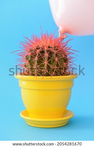 Cactus and air balloon on color background