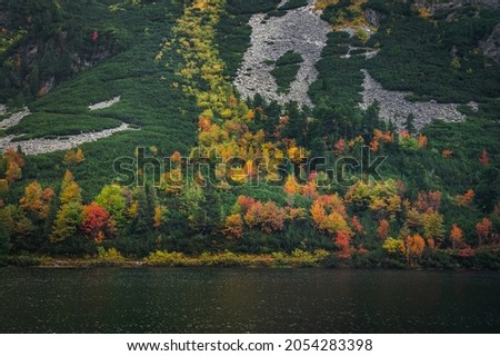 Autumn by lake in High Tatras, Turistic and Hiking photo. Colorful Scenery. Edit space