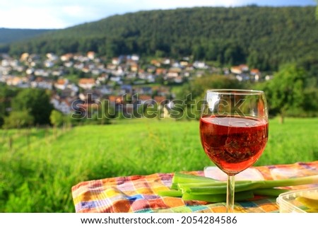 Picnic in Nature With Wine Glasses on the Table