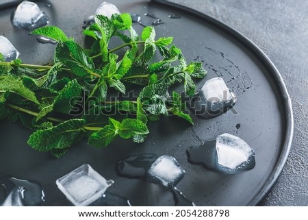 Fresh green mint and ice cubes on tray