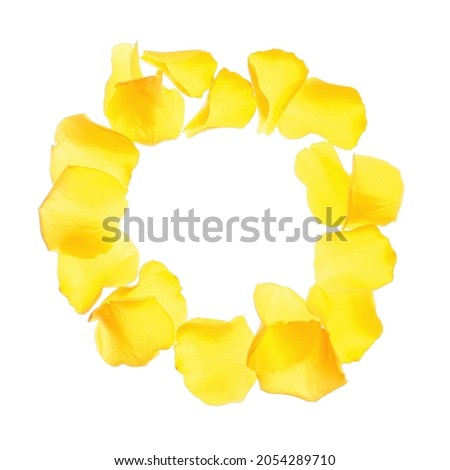 Frame made of fresh petals of yellow roses on white background