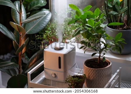 Steam from electric humidifier, moistens dry air surrounded by indoor houseplants during the heating season. Home garden, hobby, plant care. Humidification, comfortable living conditions concept.  Royalty-Free Stock Photo #2054306168