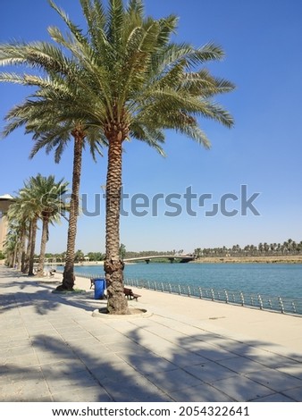 Baghdad Island park ( Al-Jazeera) , 5 Oct 2021 :palm tree and tigris river Royalty-Free Stock Photo #2054322641