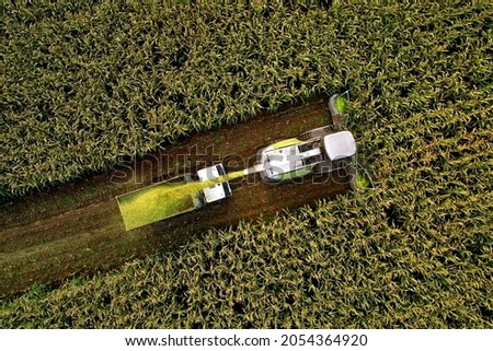 Forage harvester on maize cutting for silage in field. Harvesting biomass crop. Self-propelled Harvester for agriculture. Tractor work on corn harvest season. Farm equipment and farming machine. Royalty-Free Stock Photo #2054364920