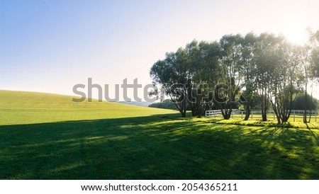 View of the meadow and the fenced area for horses
