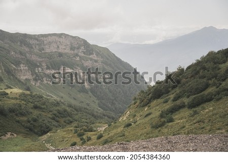 Beautiful mountains for the background. Trees on the mountain surface. Fog among the mountains. A place for text and advertising with nature.