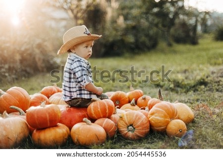 A boy in a cowboy hat and a plaid shirt sits on bright orange pumpkins, side view. Holiday, Halloween, an American tradition