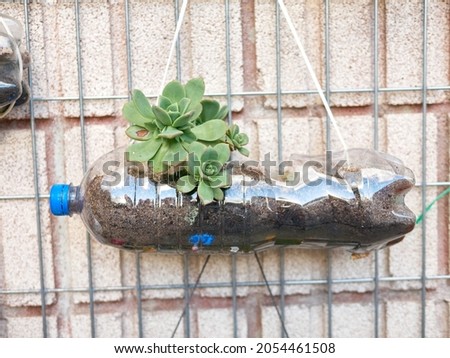 Flowerpot made with a bottle of plastic hanging from a wall Royalty-Free Stock Photo #2054461508